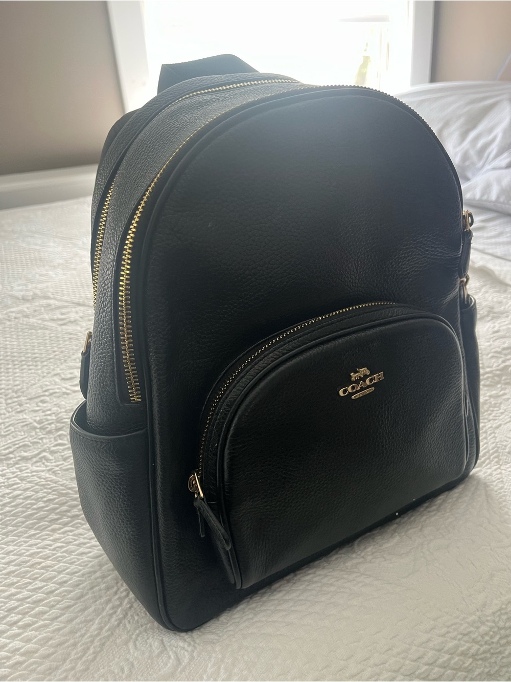 Coach Black Leather Mini Backpack with Gold Hardware